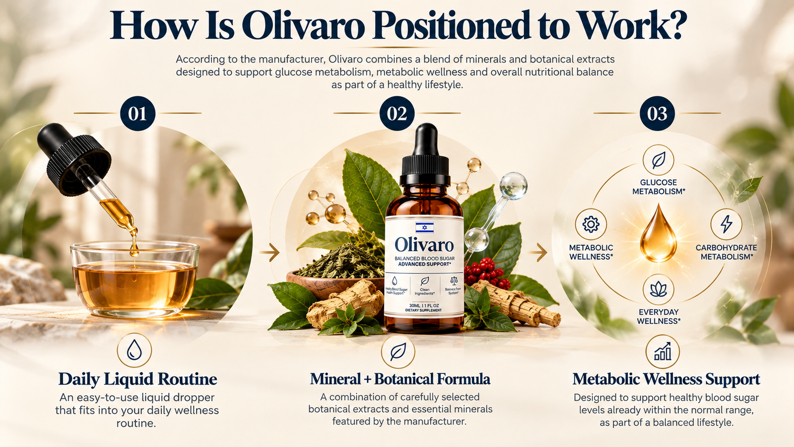 How Olivaro is positioned to work: daily liquid routine, mineral and botanical formula, metabolic wellness support